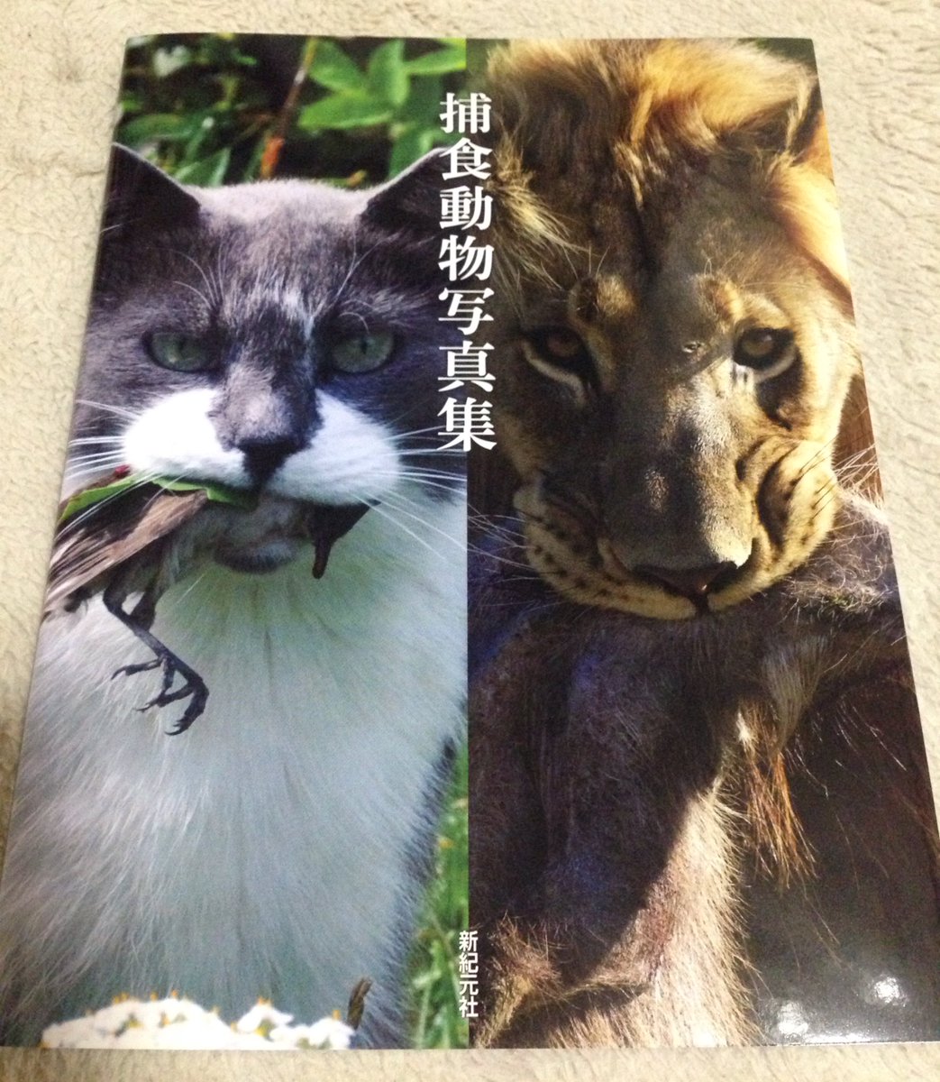 捕食動物写真集