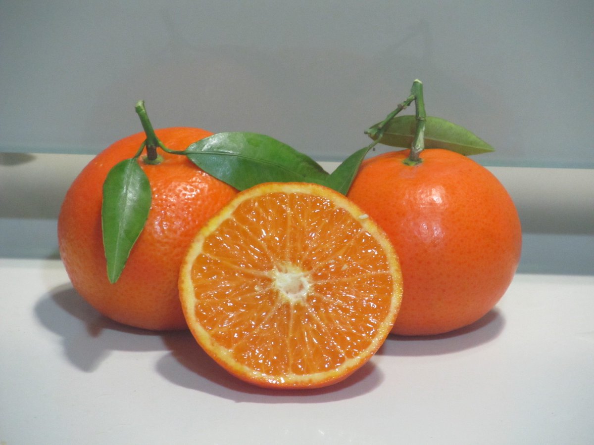 NaranjasdeCulle's tweet photo. Ya puede escoger entre naranjas, mandarinas y cajas mixtas. Y, como siempre, sin tratamientos post-recolección!!! 👌👌👌🍊🍊🍊 https://t.co/izddm06n4o