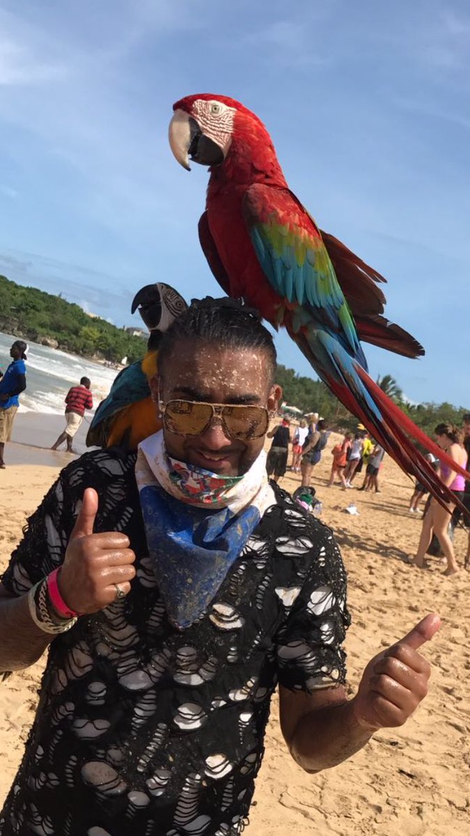 VIPEventME's tweet image. Call Me ace Ventura #VIPeventsintetnational