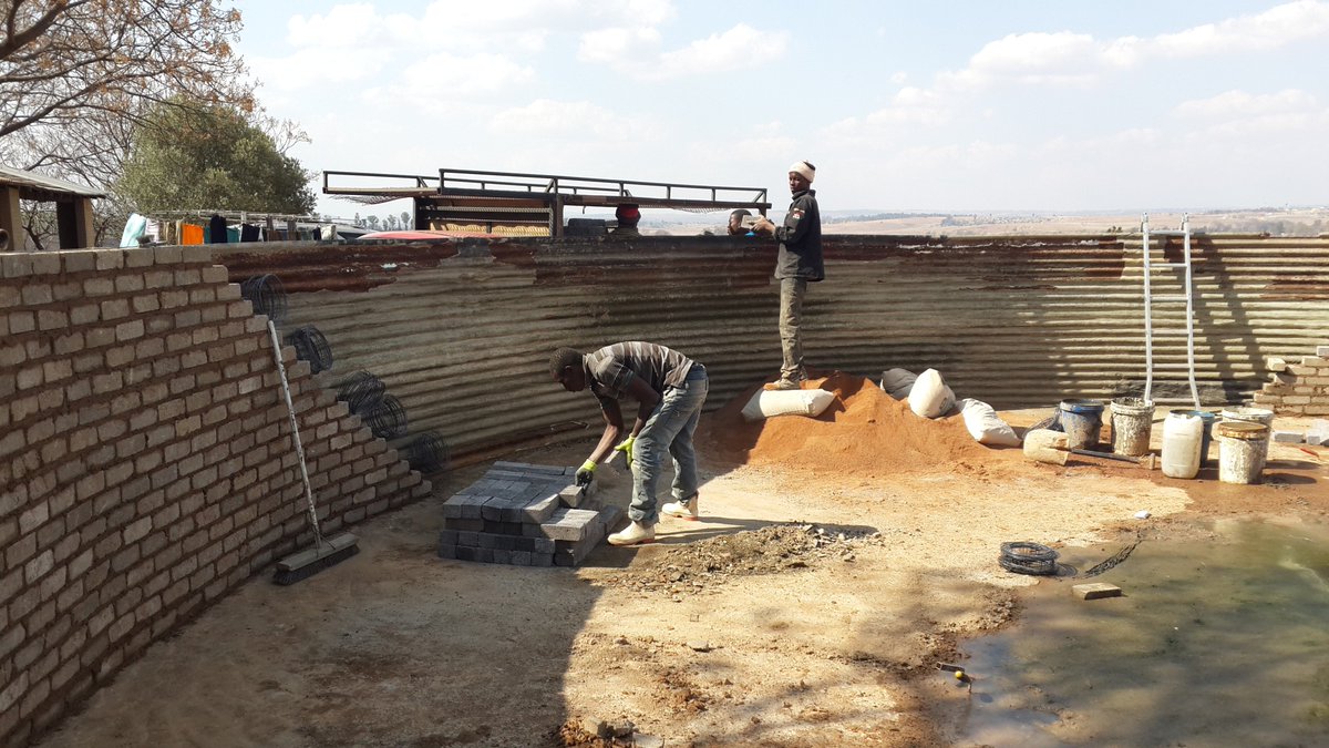 Poly Group tweet media