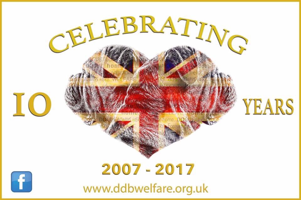 Come along and join the fun🎉help us celebrate in style our 10th Anniversary of Rescue at crufts 2017 🎈🎉#rt #adopt <a href="/BradleyWalsh/">Bradley Walsh</a>