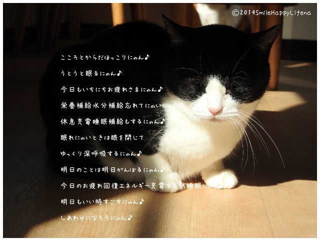Twitterで画像を見る