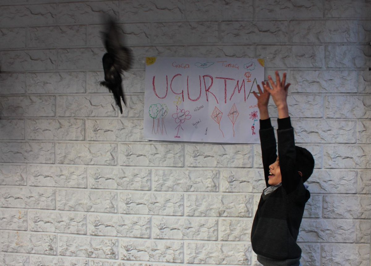 Barış şarkılarını hep birlikte söylemek için #GündemimizÇocuk #GündemÇocukKapatılamaz