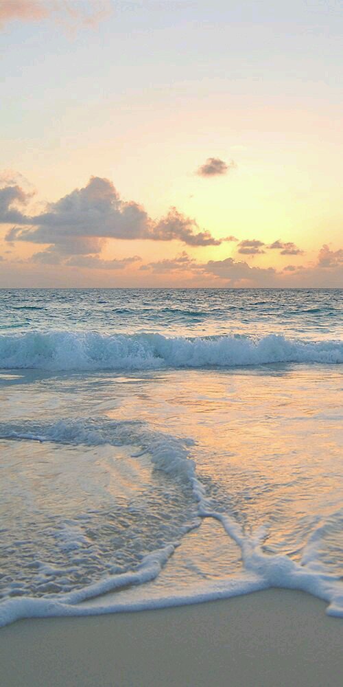 CATLANTUS's tweet photo. Stress reliever !
-

-- 
carol sabez (https://t.co/Zf8hScvQK5) via Mermaids Page (https://t.co/uXN9a78ocb) https://t.co/GU9ofdKagj