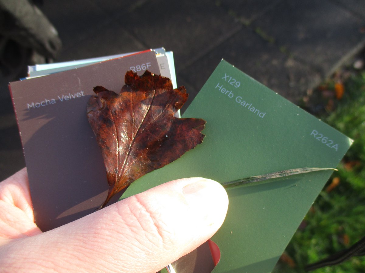 FWPSCnursery's tweet image. Fun in the garden matching colours #earlyyearsnumeracy