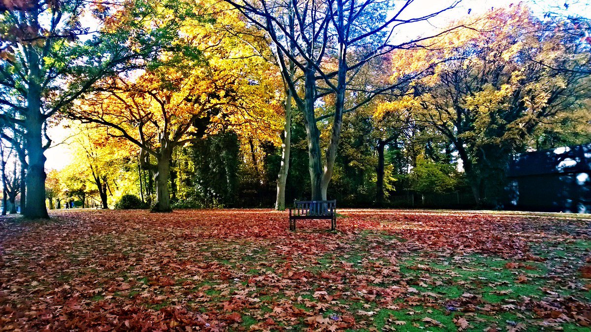 msnaick1's tweet photo. Autumn at University of Kent, Canterbury https://t.co/r8OFTpnpYi