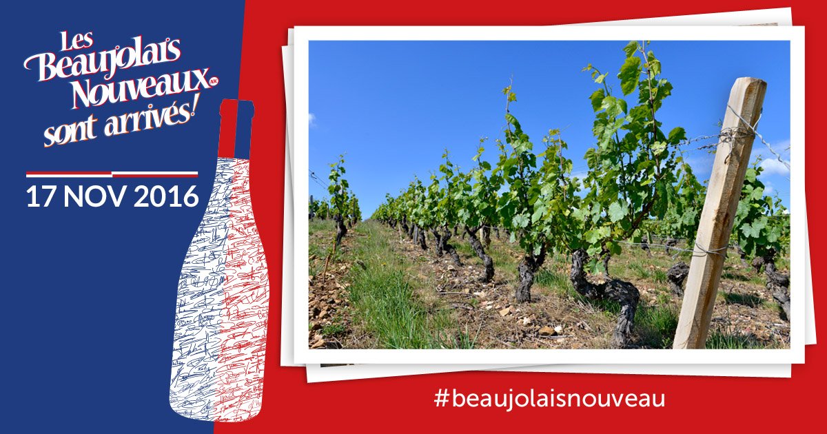 BeaujolaisNvx's tweet photo. Saviez-vs que vous pouviez parfois déguster des #BeaujolaisNouveaux de 5 ou 10 ans d’âge ? Comme tous les #vins ils se conservent très bien. https://t.co/FKoMU0a87N