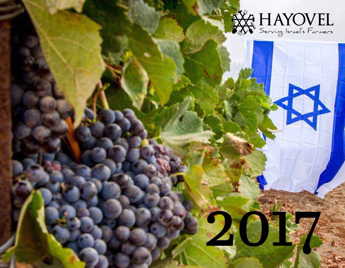 HaYovel's tweet photo. Pre-order the new HaYovel 2017 wall calendar! Special offer from now until December 1st

https://t.co/nJYdglTQHY https://t.co/eYXaelRCKT