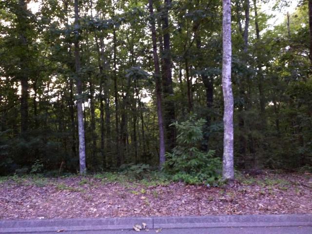 BaileyTeamHomes's tweet photo. The Lot #ListingShowcase continues! https://t.co/gLYT1DO2Qa 
This time in Clinton!
Coldwell Banker Wallace &amp; Wallace Realtors 687-1111 https://t.co/j4WZORXGLT