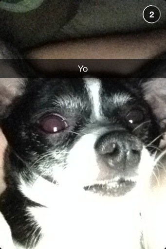 CouponConsumer's tweet image. :) See the difference. #ONEdifference #FreeSample landing.smiley360.com/landingpage147…