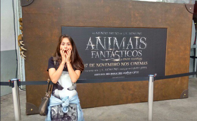 GiMueckenberger's tweet photo. E FALTA POUCO PARA A MAGIA SE ESPALHAR NOVAMENTE PELAS TELAS DOS CINEMAS! OMG! #AFEOH #AFNewt #AFTina #AFQueenie #AFJacob #AFTickets https://t.co/kSUXBR0QSn