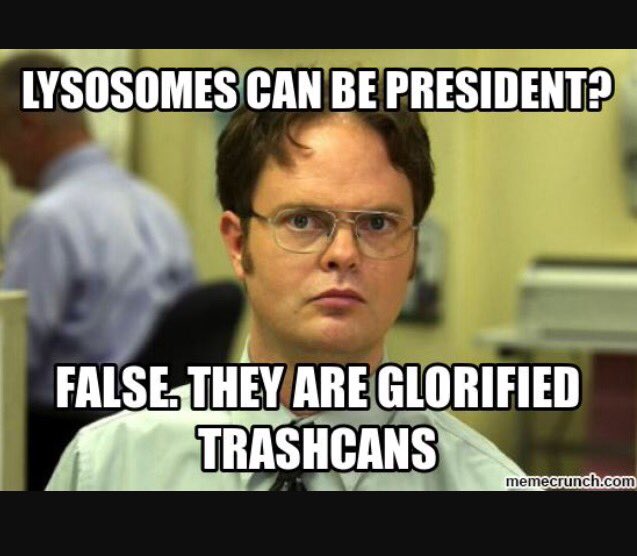 ImWithNucleus's tweet photo. @lysosome_1 don't you have garbage to pick up??? https://t.co/4oe5yeuovw
