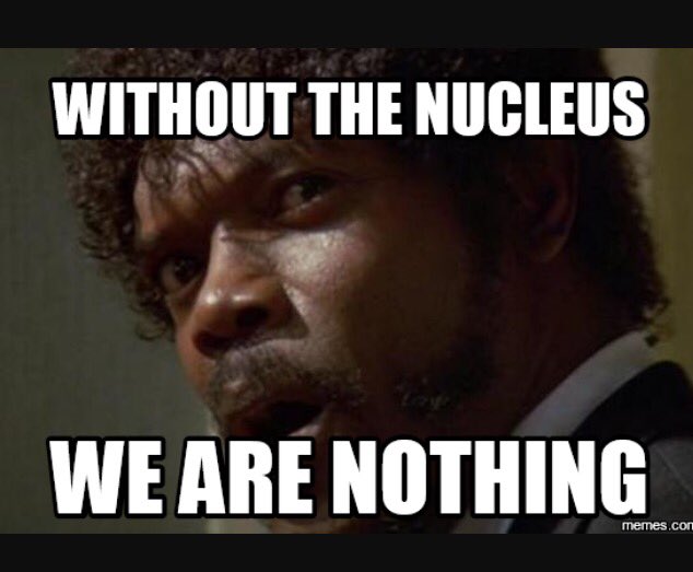 ImWithNucleus's tweet photo. Remember this when you decide who to vote for #imwithnucleus https://t.co/b9eNIzO0zS