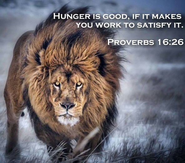 FiveFitness's tweet photo. You have to see yourself winning before you even win. You gotta always remain hungry and have to want to conquer..
#Motivation #Hunger https://t.co/aEtAmT4L9b