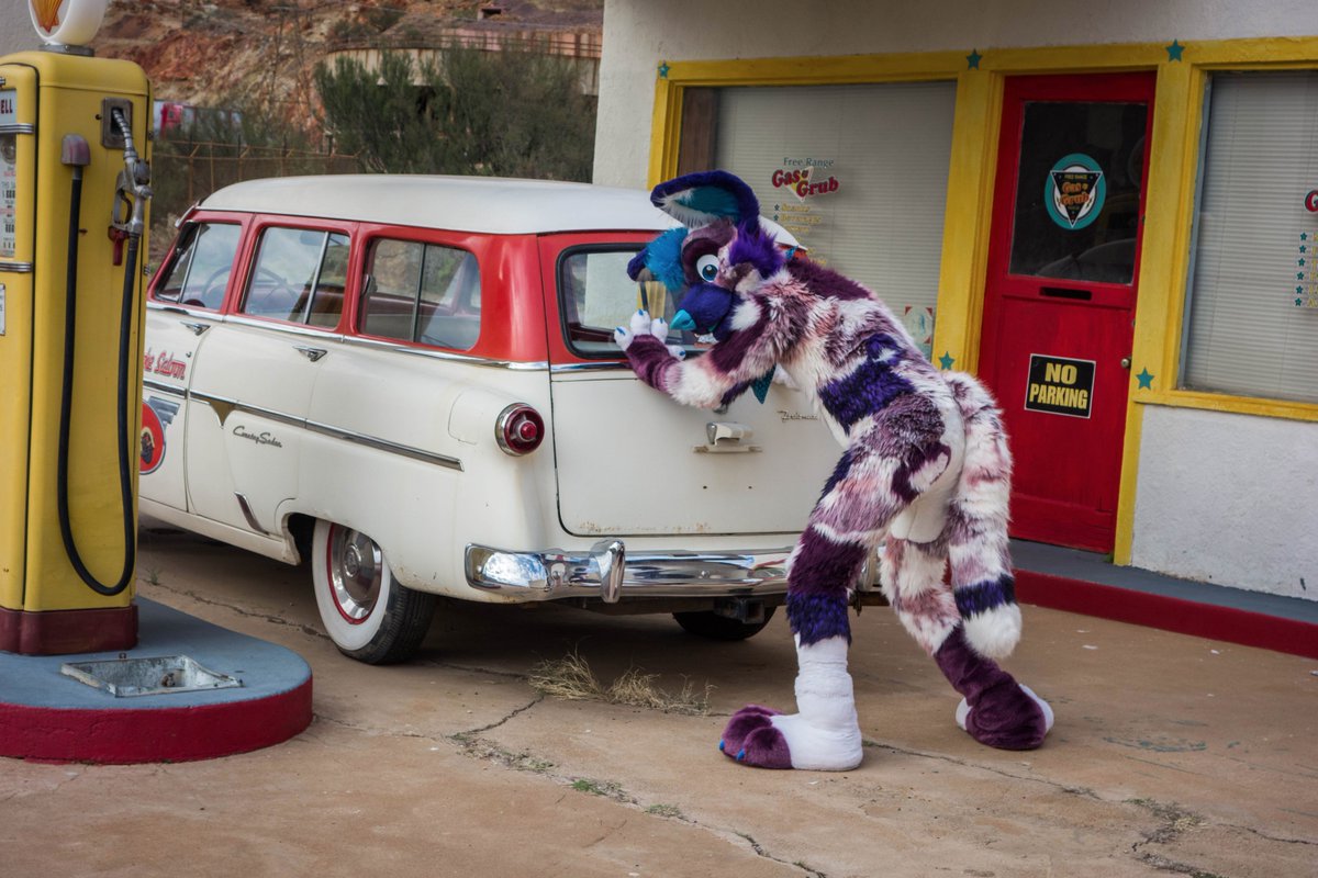 WildAcai's tweet photo. This old car is always running out of gas! >.< 
...wait... NOOOO That's not where you put the gas @kiwiztiger 
#wildDogWednesday https://t.co/ATccLOfGfv