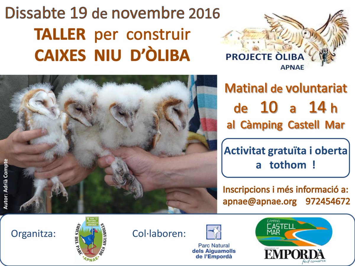 El proper dissabte 19 de novembre es fa un TALLER matinal (a l'Empordà) per construir caixes nius d’ÒLIBA. Organitza <a href="/Apnae1992/">APNAE</a>