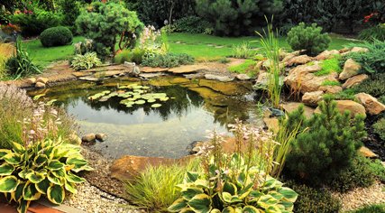 PerfectPonds's tweet image. #PerfectPonds is now live on Twitter, Facebook &amp;amp; Google+