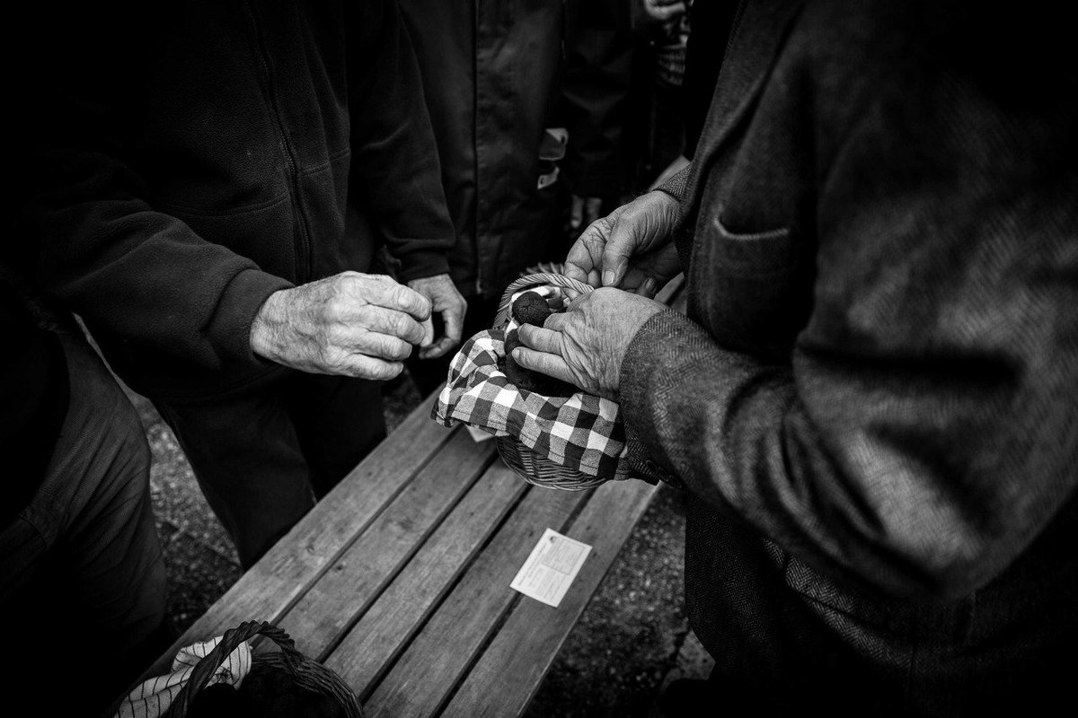 Agri_Gouv's tweet photo. [#PhotoDuJour] Le marché aux #truffes de Lalbenque @Occitanie © Franck Hamel / #FIPC2016 https://t.co/3Ayu7SHfEb https://t.co/Ca0KbFWFNx