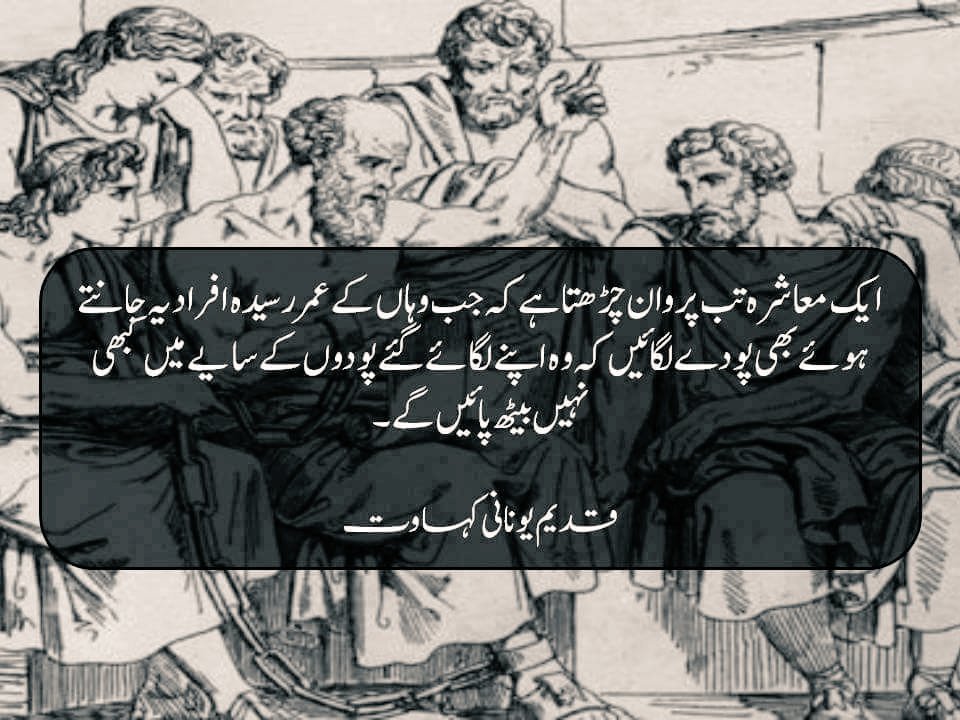 DrTaimoorAbbas's tweet image. Plant trees - #WednesdayMotivation #BillionTree #deforestation