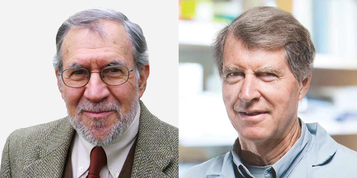 GMWatch's tweet photo. How 121 Nobel laureates were misled into promoting GMO foods https://t.co/gG0KH2h055 Experts say letter an affront to science & public trust https://t.co/qdpTd40rlt