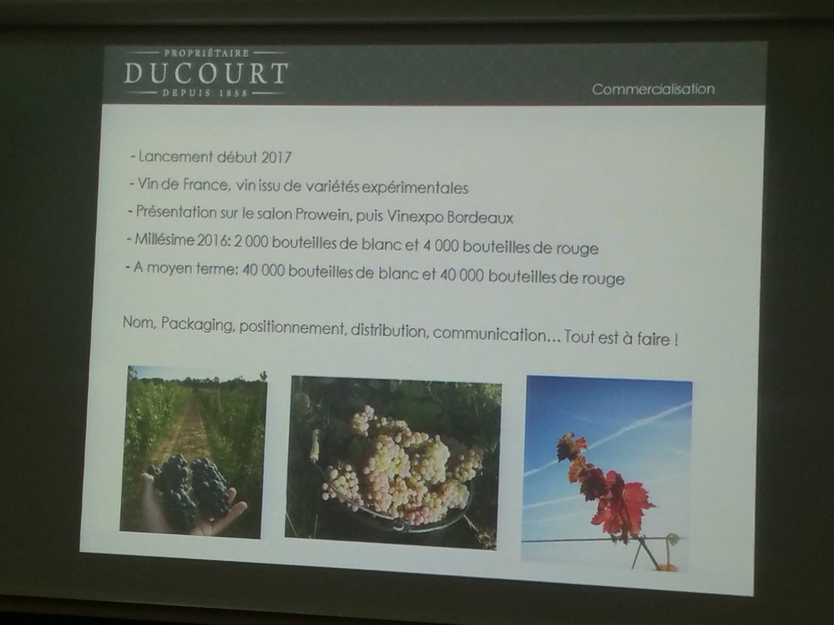 amelienollet's tweet photo. Un nouvelle année enrichissante attend les étudiants d' #IPCVin et à leur parrain @jonathanducourt #winelover #Ducourt 🍷 https://t.co/1U9RZtyefg