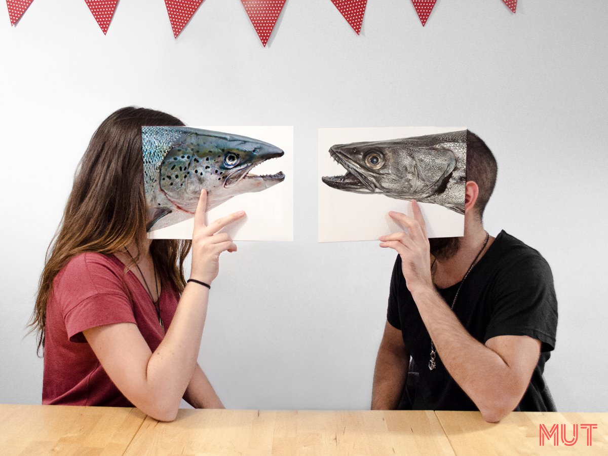 MutBcn's tweet photo. Tenemos la agencia dividida entre la merluza y el salmón... ¡los nuevos platos Casa Mas! Ayúdanos a desempatar  en https://t.co/JFukqG4L7B https://t.co/AdekkXjgUK
