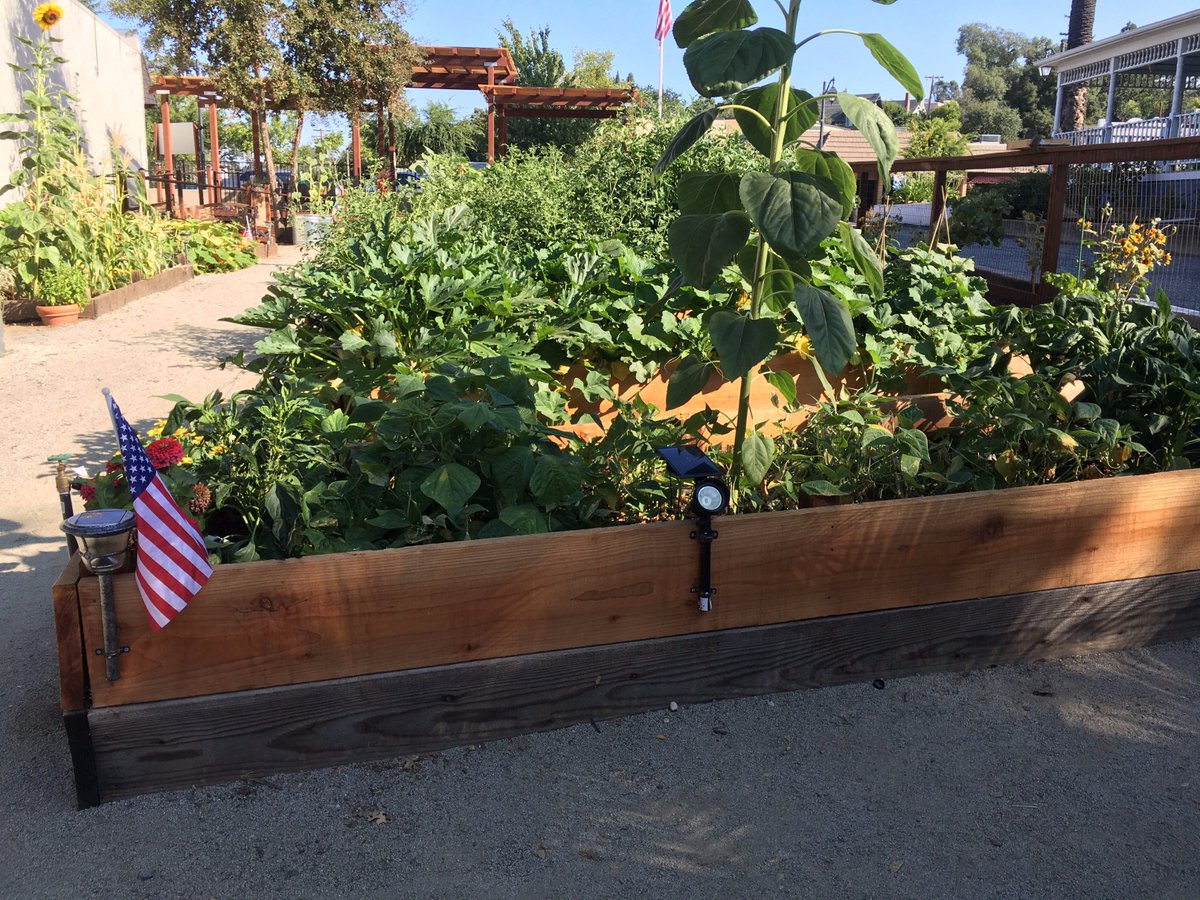 Info_FSP's tweet image. The Garden @Info_FSP  #FSP #VeteransLivesMatter #vets #Veteran