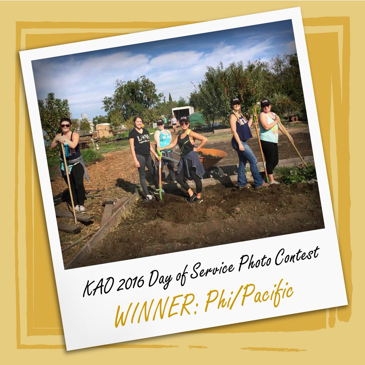 BettieLocke's tweet image. It was tough to decide with so much amazing work by Thetas, but congrats to @PacificThetas on winning the #ThetaDayofService Photo Contest!