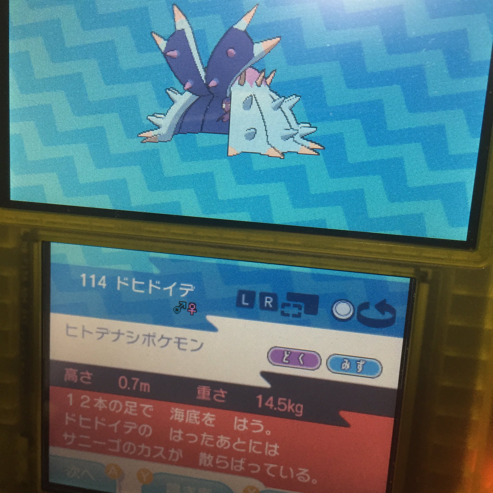 K ポケモン ライダー 2月は戦隊 K Pokemon Twitter