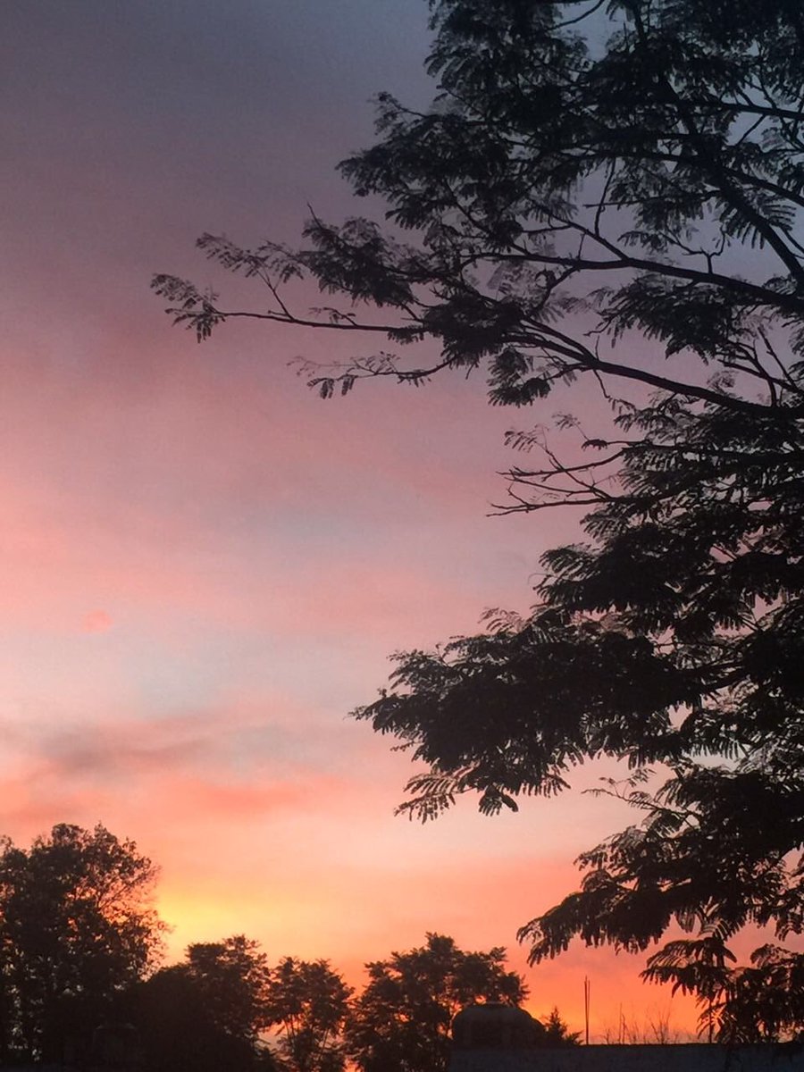 MexicoClima's tweet image. Atardecer en #CDMX vía @DRPATRICIOOCANA , temperatura 19º
