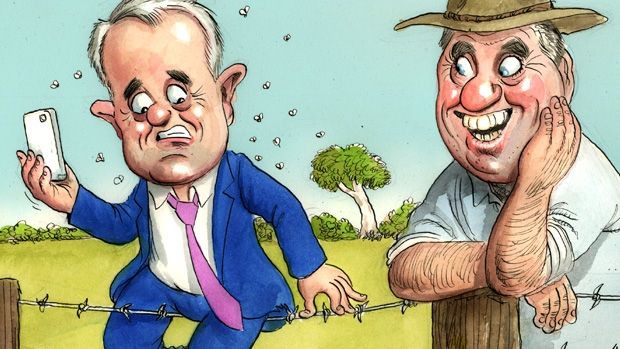violencehurts's tweet photo. #BarnabyDoesAUS
U hang around #BS long enough #Turnbull 
U will surely attract flies
ENJOYING THE FENCE?
@ItsBouquet @davey_leonie https://t.co/Af2vRgeqQu