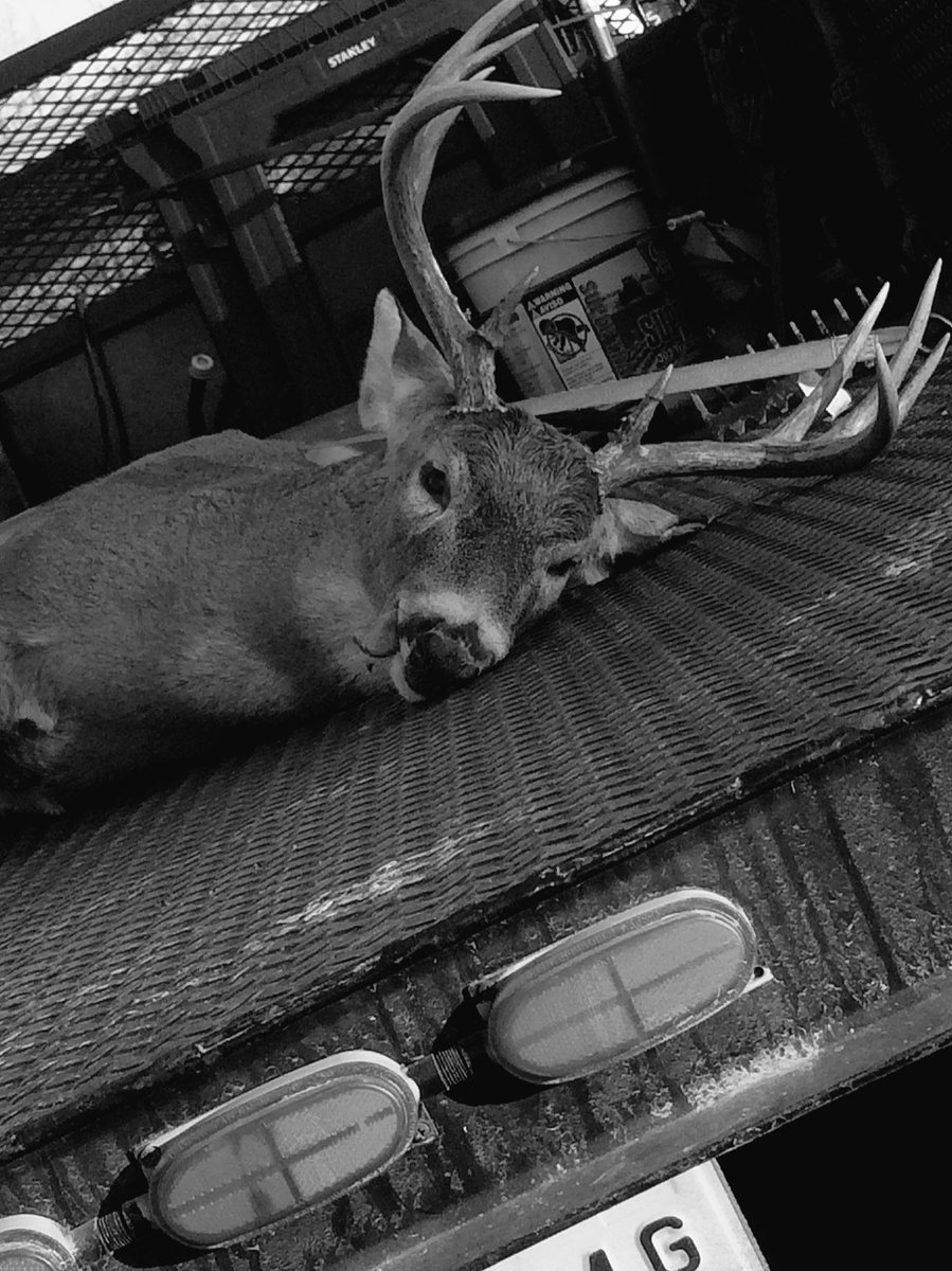 lildyeky40's tweet photo. I this 10 point buck this morning #10pointbuck https://t.co/tMIGvouyct