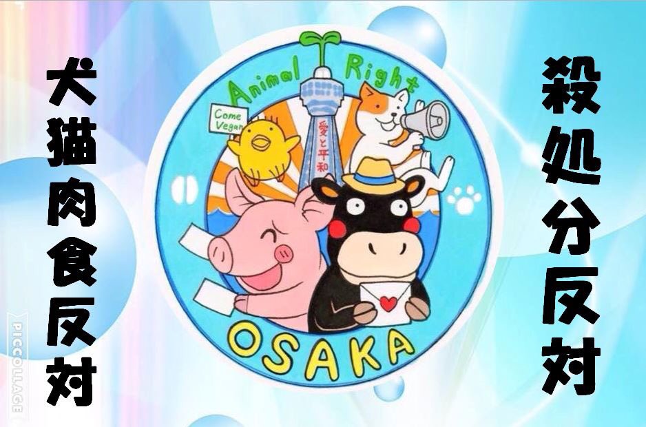 h1577hrm's tweet photo. 2016年12月18日（日）12時堂島公園集合【犬猫たちを助けて！殺処分反対！犬猫肉反対！】主催アニマルライツ大阪。どなたでもご参加ください。
https://t.co/X37IEWNYrZ https://t.co/EHbU9CNRGF