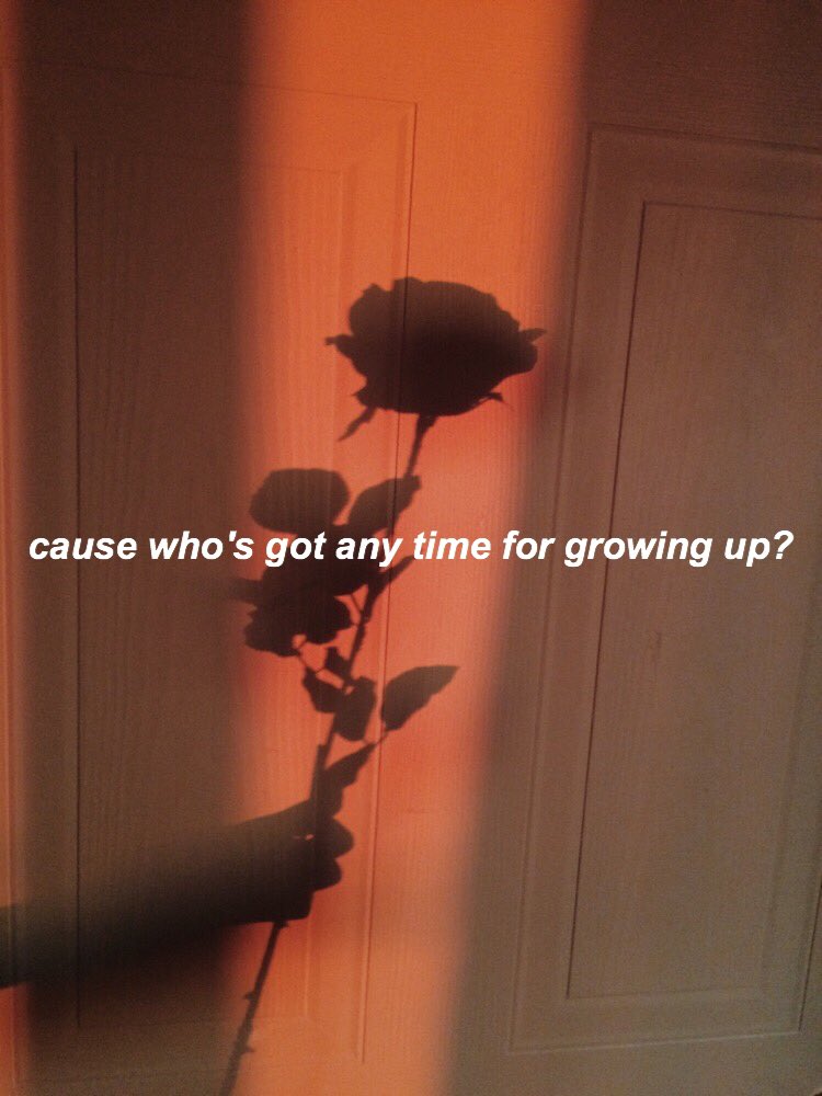 TROYELYRICS's tweet image. 