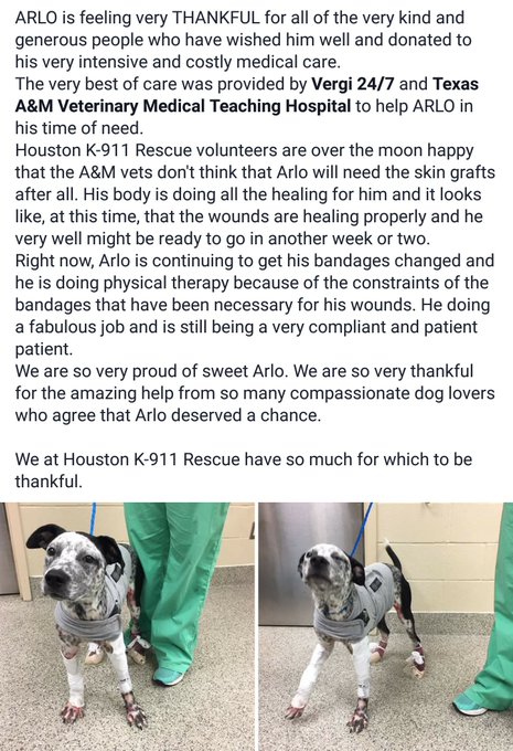 Y'all remember Arlo?! #Thankful so happy to hear this! Thanks to all that shared and/or donated! https://t<a href="/tag/thankful"class="tags">#Thankful</a>