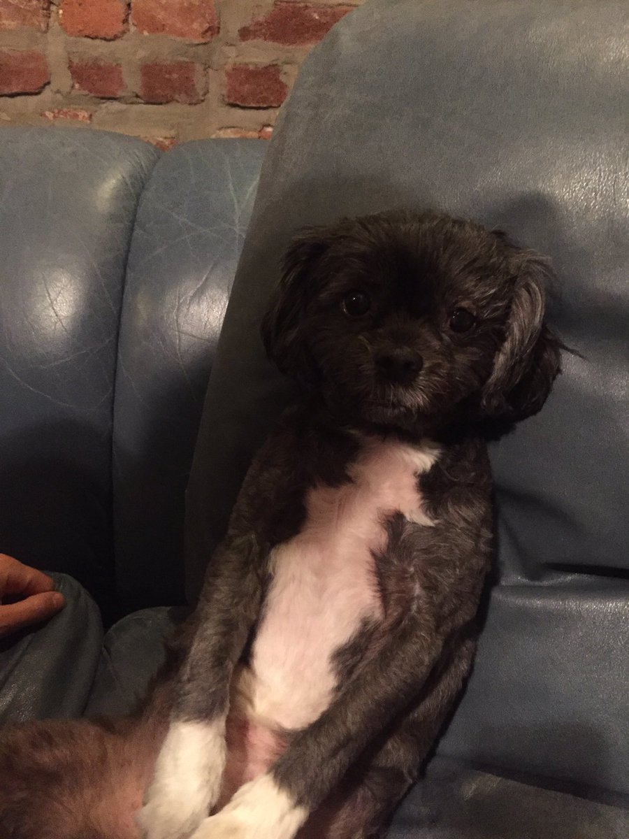 ttilnexttttime's tweet photo. how you feel after you eat https://t.co/UDr2aQ5odN