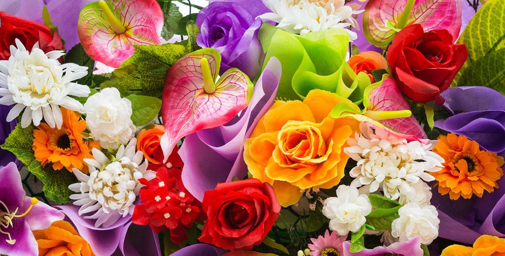 worldloveflower's tweet photo. #LoveFlowers 🌸 facts:
There are over 400,000 types of flowering plants in the world https://t.co/AC0SEI2Jdy