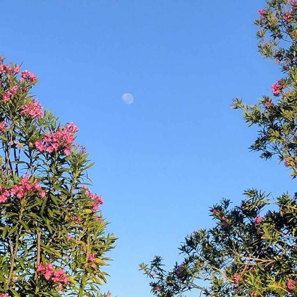 Rog42's tweet image. Country mornings 
#LivingRocks 
#WROz 
#WithinReach ift.tt/2f5NQnX