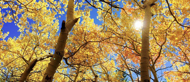 How to Prevent Senior Falling Risks During Autumn &amp; Winter zoot.li/dg20p