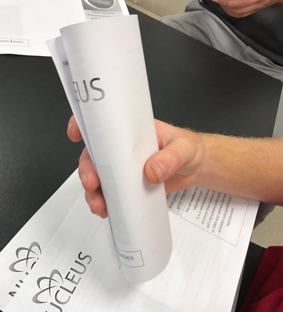 standwithribo's tweet image. Other camps hard at work folding their brochures - or as I like to call them - pamphlets of lies! #VoteRibo @SaralandAPBio