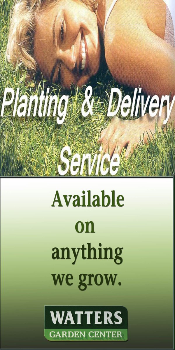 WattersGardenCn's tweet photo. Watters Plants & #Delivers #PlantingService https://t.co/1BmOGH1czE