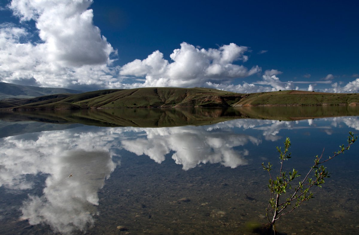 shxapay's tweet image. 