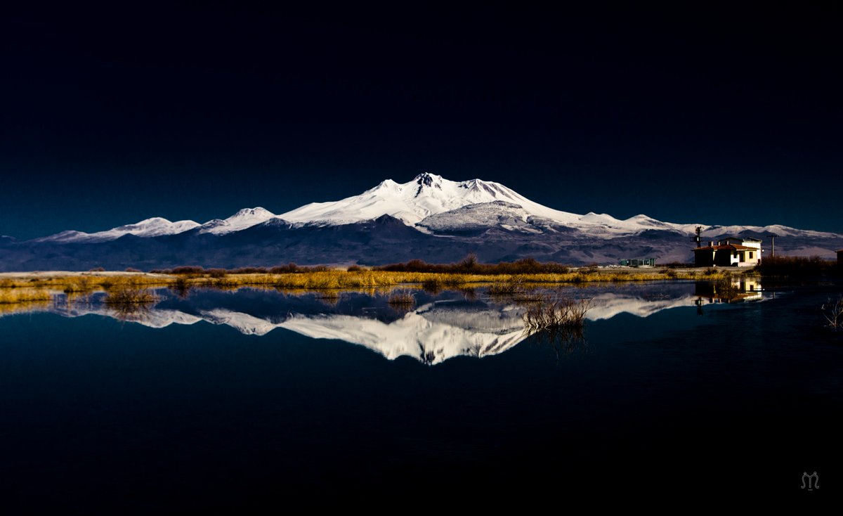 shxapay's tweet image. 