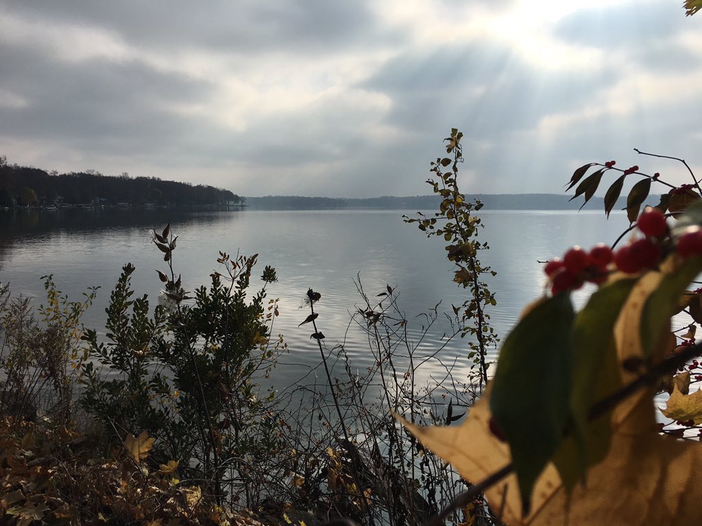 alkire14's tweet photo. Absolutely beautiful setting @KelloggBioStn today! #miched #KBSK12 #otsegorocks @OtsegoSchools @OPSCurriculum https://t.co/fJGYDQ29hb