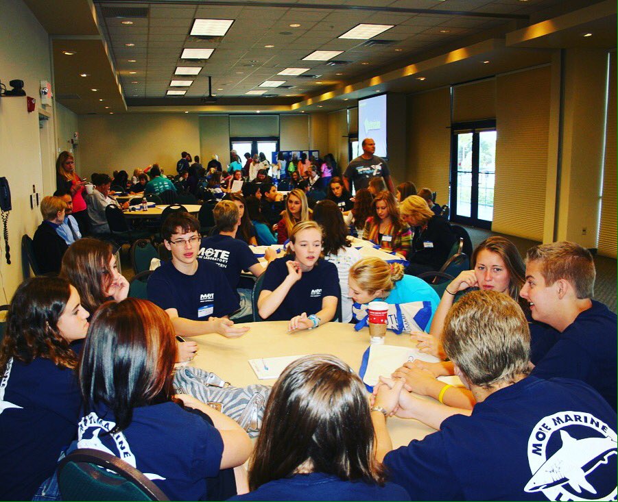 Mote Marine Laboratory & Aquarium tweet media