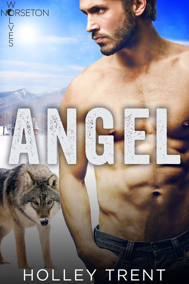 ShiftEverAfter's tweet photo. 🎁 COVER REVEAL: A tease of @HolleyTrent's ANGEL, exclusive to BUNDLE OF JOY → https://t.co/N7KFEJ1p6N #ParanormalRomance #PNR https://t.co/ibtFSA8gNZ