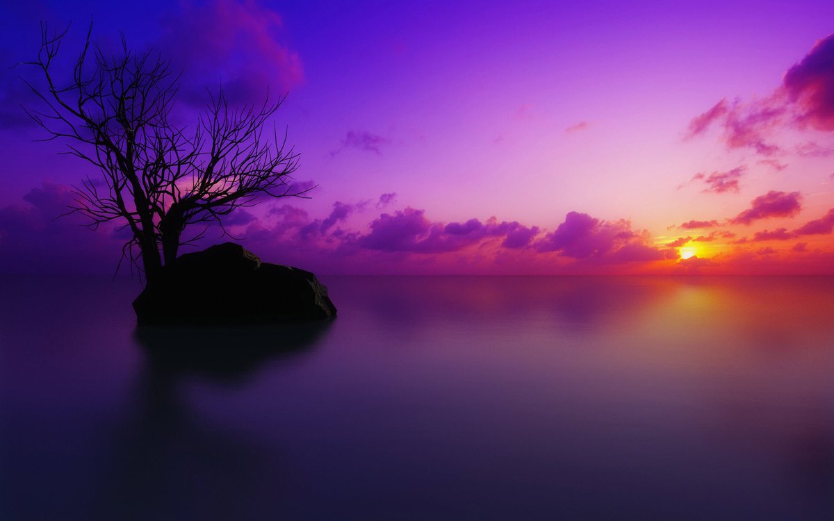 MissVisualKei tweet picture