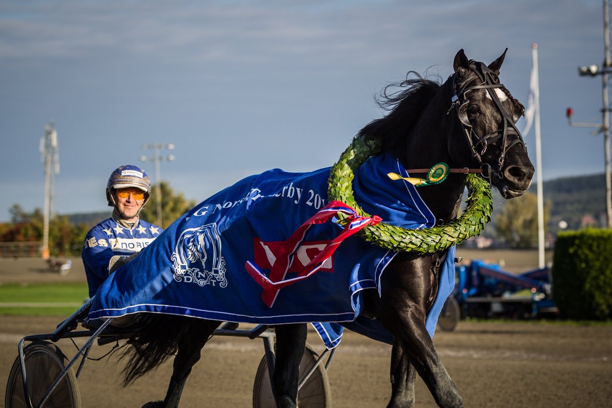 TravTanker's tweet photo. Kveldens #V76 #Bjerke innledet med kuskeseier til Solberg, runder han av med seier #Ingbest? Foto: Eirik Stenhaug. https://t.co/wjDmthWolY