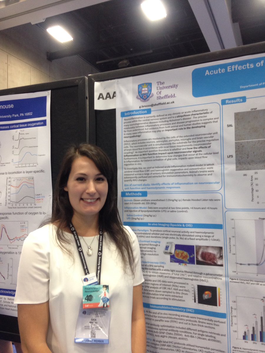 ARUKscientist's tweet photo. Really interesting work looking the effect of systemic inflammation on the neurovascular unit @Gaia_Brezzo #laserspeckle #sfn16 #teamARUK https://t.co/rfAaTz59dD