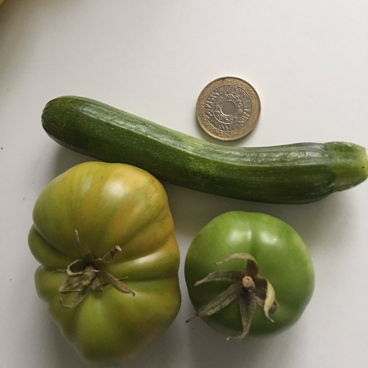 sarfsee's tweet photo. Still cropping in the #Polytunnel
#Snackbite #Peppers🌶 #PinkBrandywine and #Azoychka #Tomatoes🍅 Also found a last #Courgette outside
#GYO👍 https://t.co/XgjijPsZV7
